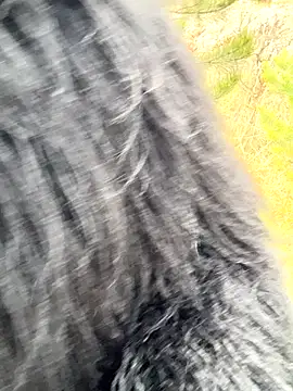 Snapshot of desiredude9 chatting on November 1, 2025, 7:10 am desiredude9 online show from November 1, 2025, 7:10 am