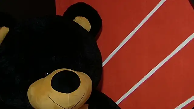 sany noa online show from November 12, 2025, 7:24 pm