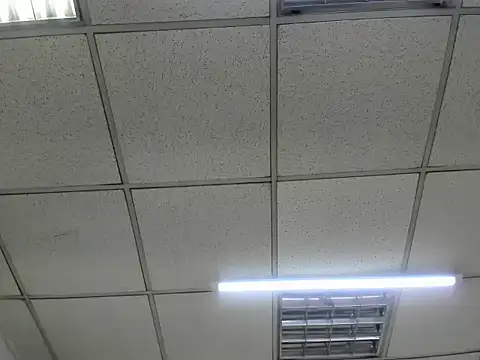 ScarletDoll online show from October 24, 2025, 2:52 am