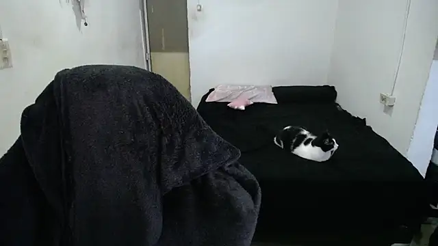 Amber09raiden online show from October 31, 2025, 5:03 pm