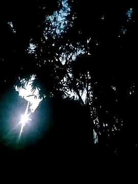 Snapshot of Lisa_pusy chatting on October 22, 2025, 10:42 pm Lisa pusy online show from October 22, 2025, 10:42 pm