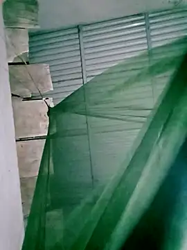 Snapshot of Lisa_pusy chatting on November 14, 2025, 12:48 pm Lisa pusy online show from November 14, 2025, 12:48 pm