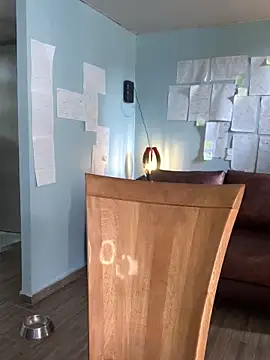 Snapshot of Canneela chatting on November 23, 2025, 6:08 pm Canneela online show from November 23, 2025, 6:08 pm