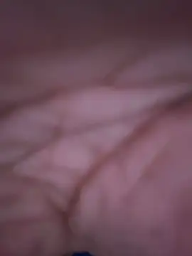 Snapshot of stevo170t chatting on October 14, 2025, 11:44 am stevo170t online show from October 14, 2025, 11:44 am