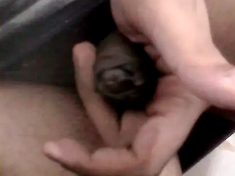 Snapshot of Bakasur_19 chatting on October 9, 2025, 3:32 pm Bakasur 19 online show from October 9, 2025, 3:32 pm