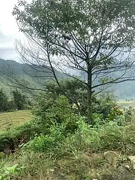 Snapshot of O_o_UwU_o_O chatting on November 6, 2025, 2:01 am O o UwU o O online show from November 6, 2025, 2:01 am