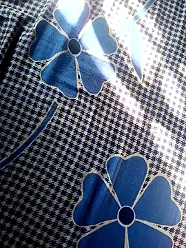 Snapshot of Renuka_GG chatting on November 4, 2025, 3:16 am Renuka GG online show from November 4, 2025, 3:16 am