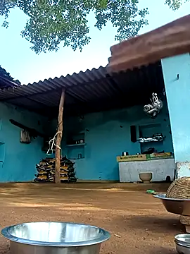 Hot-honi online show from November 2, 2025, 3:20 am