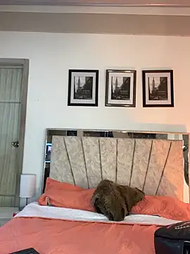 Snapshot of RedVelvet_Dream chatting on September 11, 2025, 9:37 pm RedVelvet Dream online show from September 11, 2025, 9:37 pm