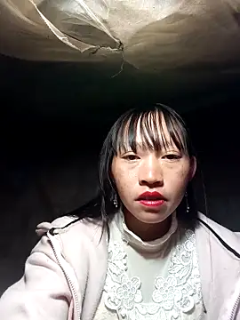 tcm-cute online show from November 12, 2025, 7:35 pm