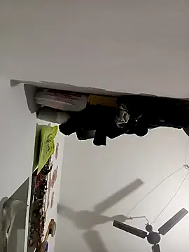 Snapshot of Payal950 chatting on November 8, 2025, 12:22 am Payal950 online show from November 8, 2025, 12:22 am