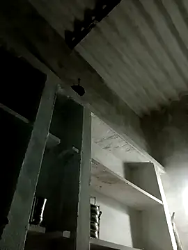 Snapshot of Payal950 chatting on November 8, 2025, 12:38 pm Payal950 online show from November 8, 2025, 12:38 pm