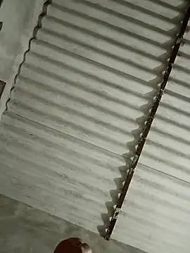 Snapshot of Payal950 chatting on November 13, 2025, 3:22 pm Payal950 online show from November 13, 2025, 3:22 pm