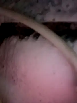 Snapshot of Payal950 chatting on December 2, 2025, 11:56 pm Payal950 online show from December 2, 2025, 11:56 pm