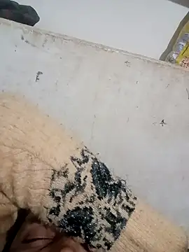 Snapshot of Payal950 chatting on December 3, 2025, 3:43 pm Payal950 online show from December 3, 2025, 3:43 pm