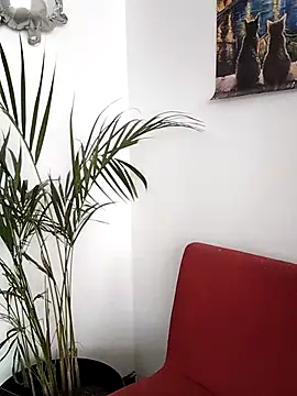 luna love xoxo online show from September 9, 2025, 8:52 pm