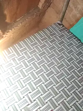 sadhna200 online show from November 29, 2025, 10:24 pm