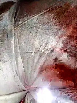 hera-00 online show from November 25, 2025, 2:28 pm