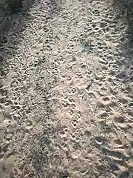 Snapshot of SmartLoda143 chatting on November 19, 2025, 11:10 am SmartLoda143 online show from November 19, 2025, 11:10 am