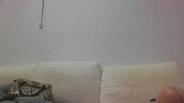 Snapshot of canariamorbosa chatting on September 11, 2025, 8:53 pm canariamorbosa online show from September 11, 2025, 8:53 pm