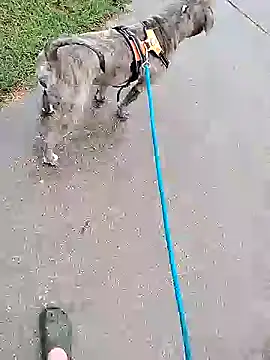 Snapshot of Unknownstepbrother chatting on October 5, 2025, 7:56 pm Unknownstepbrother online show from October 5, 2025, 7:56 pm