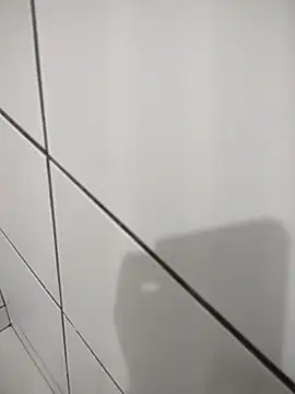 Novin23cms online show from November 14, 2025, 11:24 pm