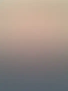 Adele Pinkk online show from November 20, 2025, 12:16 pm