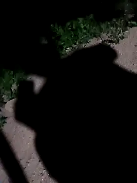 Sapna cutt online show from September 10, 2025, 11:49 pm