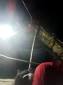 Sapna cutt online show from September 25, 2025, 6:55 pm