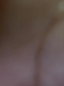 aninha21 online show from December 2, 2025, 1:11 am