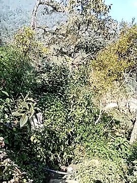 Snapshot of xinhxinhcute chatting on December 1, 2025, 3:00 am xinhxinhcute online show from December 1, 2025, 3:00 am