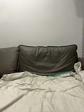 Snapshot of ruyi-13 chatting on September 13, 2025, 3:23 pm ruyi-13 online show from September 13, 2025, 3:23 pm