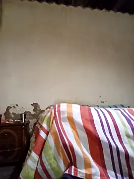 average price online show from November 12, 2025, 4:13 am