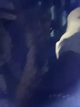 8133vaibhavh online show from October 3, 2025, 2:03 pm