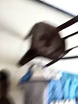 Chanderi19 online show from September 30, 2025, 9:25 am