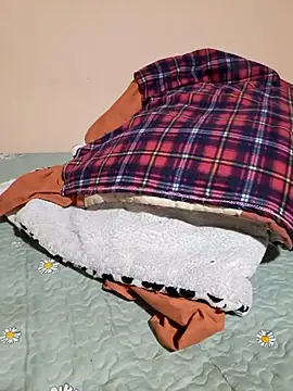 Ansiasex online show from November 17, 2025, 2:17 am