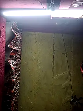 Snapshot of Suman_ji1 chatting on November 25, 2025, 1:44 pm Suman ji1 online show from November 25, 2025, 1:44 pm