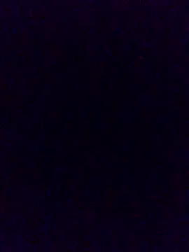 Cachorrinha2025 online show from November 21, 2025, 2:05 pm