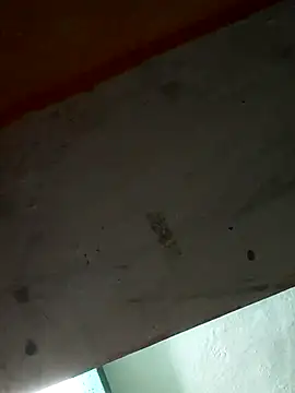 Sort xr12 online show from December 17, 2025, 2:56 pm