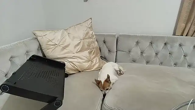 BarbieKarly online show from December 1, 2025, 1:21 am