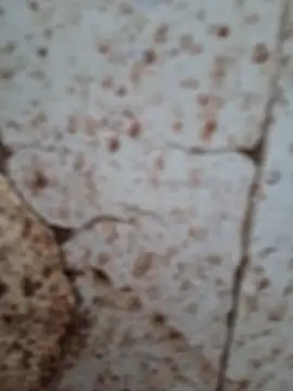 goodzx2 online show from September 16, 2025, 12:50 pm