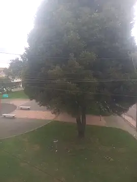 Girl luna  online show from October 3, 2025, 5:43 pm