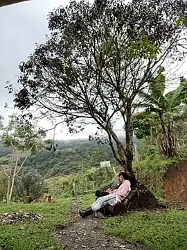 Snapshot of sky-wolves chatting on October 18, 2025, 4:19 pm sky-wolves online show from October 18, 2025, 4:19 pm