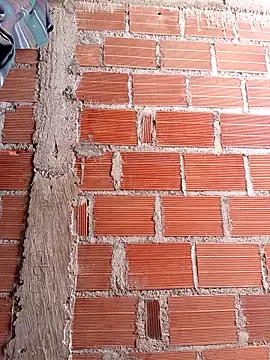 ebony hard sex online show from December 17, 2025, 4:57 pm