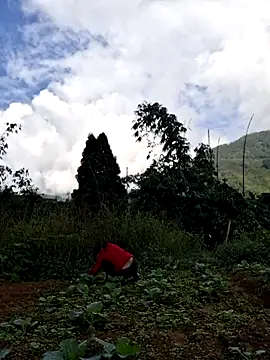 diamond-- online show from November 15, 2025, 1:36 am