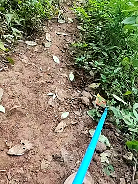 Snapshot of telugumodda4396 chatting on September 26, 2025, 6:28 am telugumodda4396 online show from September 26, 2025, 6:28 am