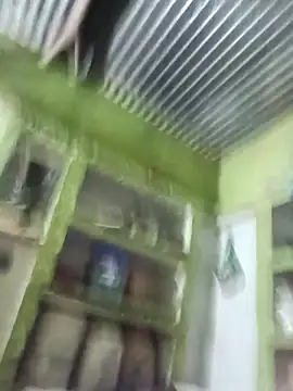 Haliya88 online show from November 11, 2025, 11:16 pm