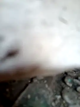 miss riya kol online show from October 9, 2025, 6:44 am