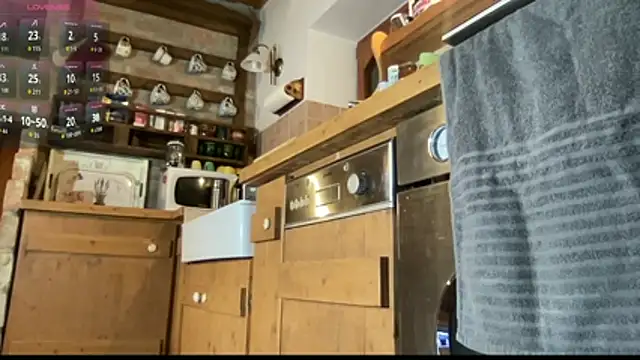 Snapshot of vani_vibez chatting on November 23, 2025, 5:02 pm vani vibez online show from November 23, 2025, 5:02 pm