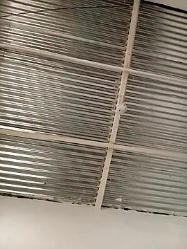 Snapshot of kingbickcockDn chatting on November 23, 2025, 5:35 pm kingbickcockDn online show from November 23, 2025, 5:35 pm